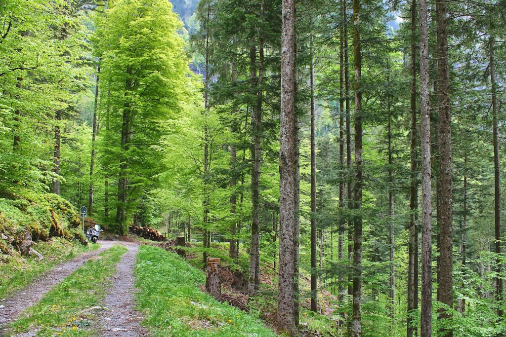 wiosna w górach